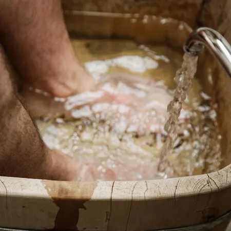 Bio-landpension Monika 3* Leutasch