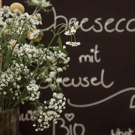 Bio-landpension Monika 3* Leutasch