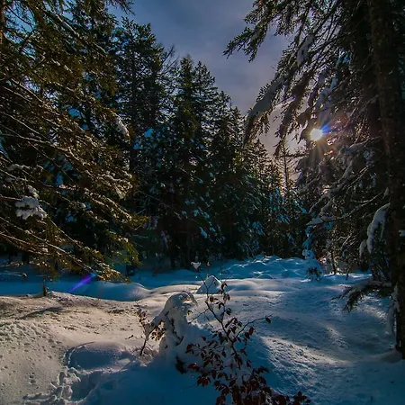 Bio-landpension Monika Leutasch