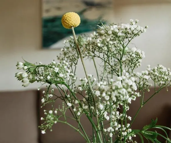 Bio-landpension Monika Leutasch