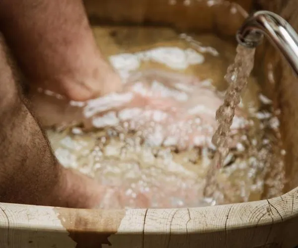 Bio-landpension Monika 3* Leutasch